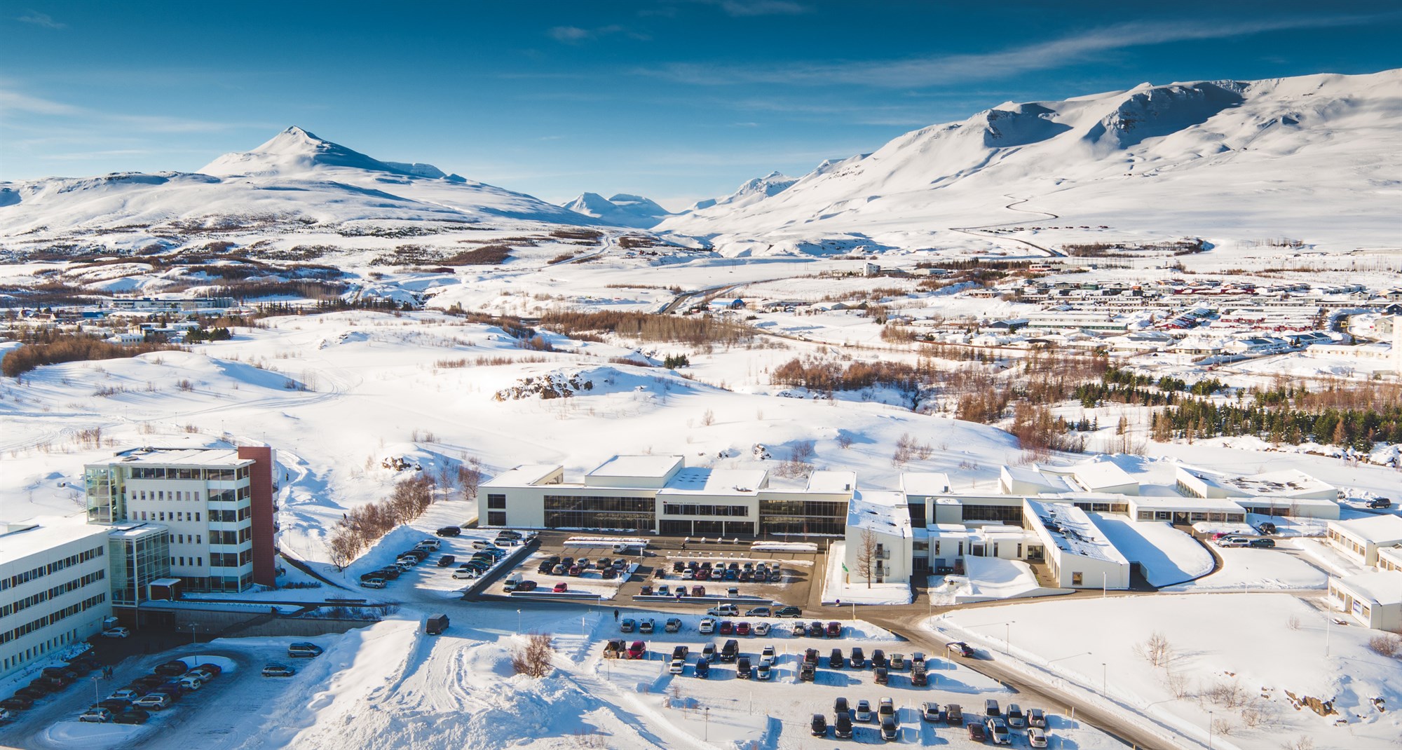 University Of Iceland Academic Calendar - Audrey Edmunds